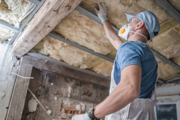 Types of Insulation We Offer in Candor, NC