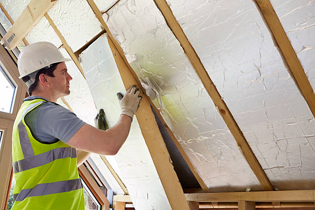 Best Insulation Maintenance and Repair in Candor, NC