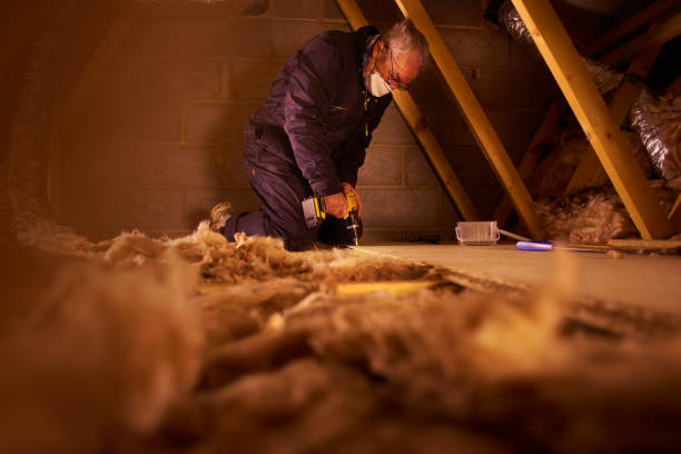 Best Geographic-Specific Insulation Services in Candor, NC